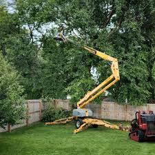  Pocola, OK Tree Removal Services Pros